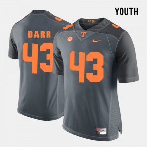 College Football Matt Darr UT Jersey #43 For Kids Grey 167957-242